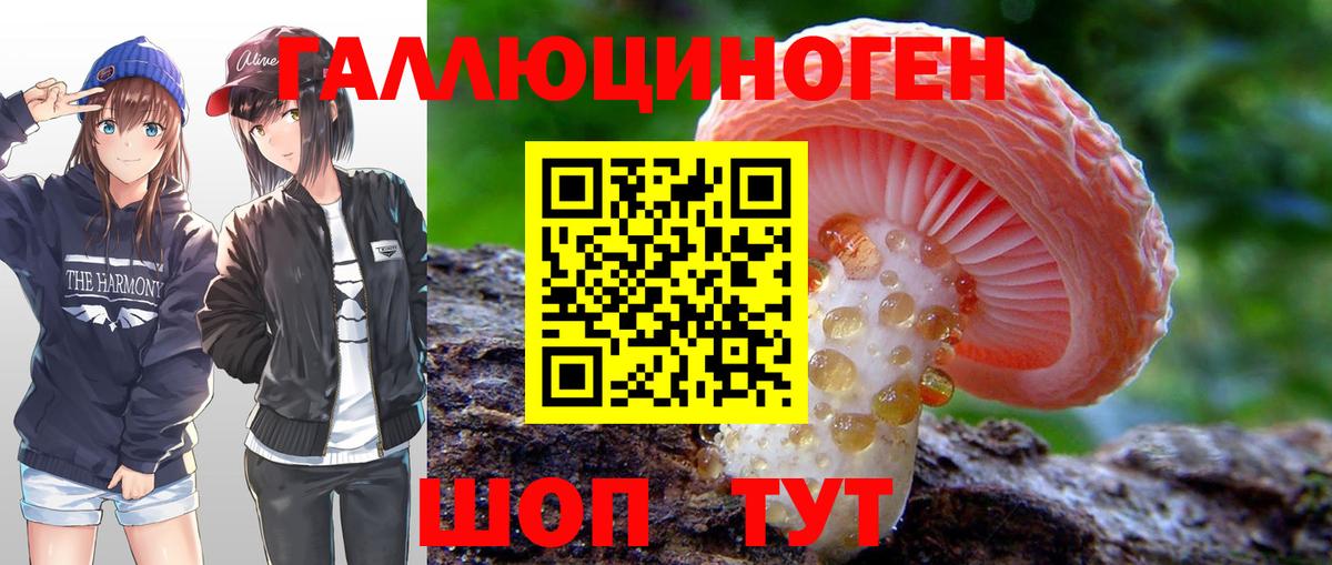 где купить наркоту  Галлюциногенные грибы мицелий  Вход с VPN  Реутов 